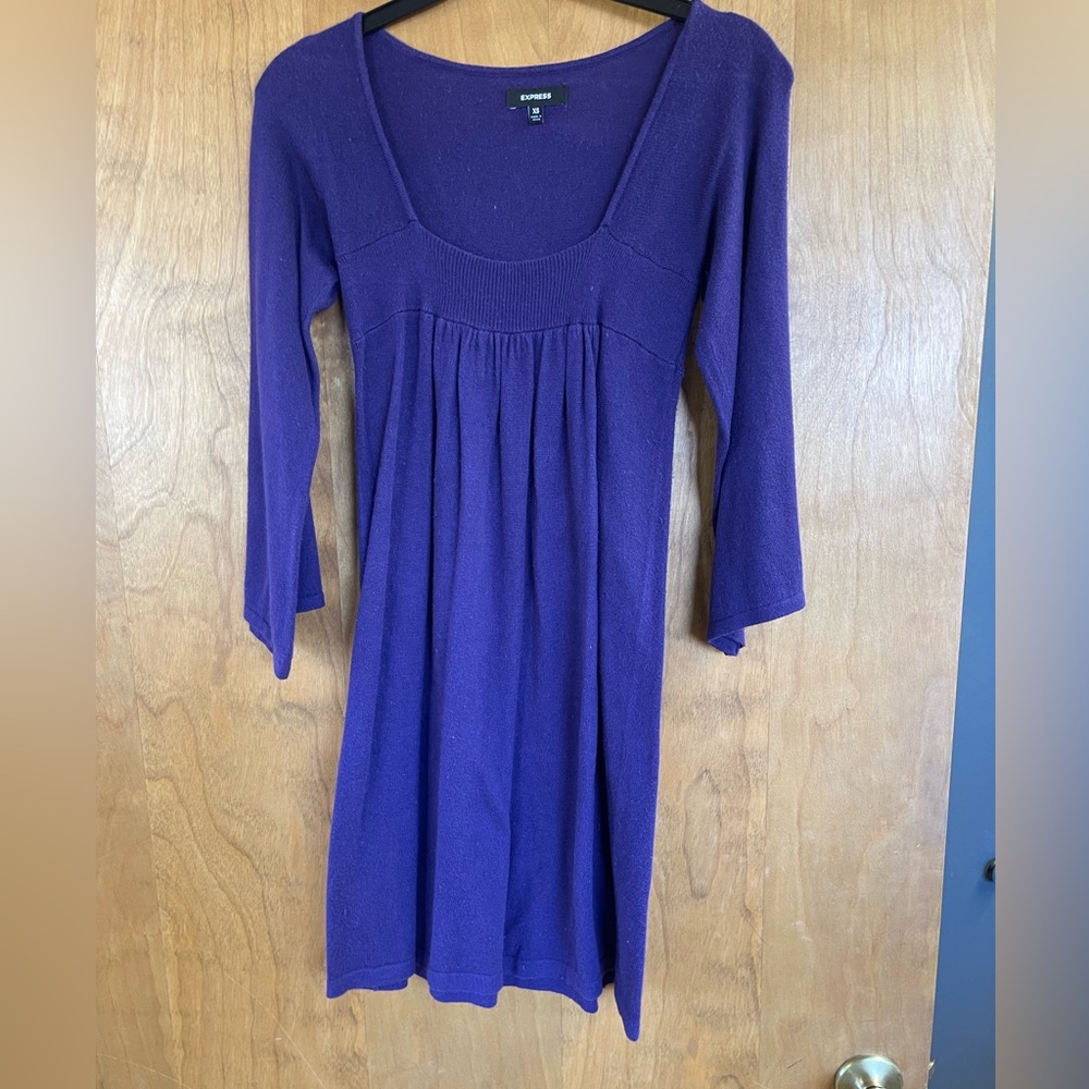 Express Blue/Purple Sweater Dress